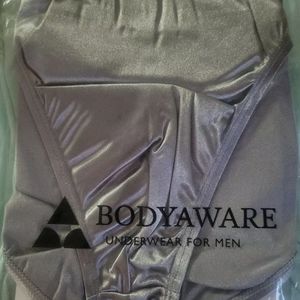 Body Aware Greek God Satin Brief Large